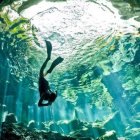 Ethereal jellyfish in vibrant underwater scene