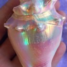 Iridescent Seashell with Pearls and Beads on Blue Background