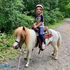 Colorfully Painted Person Riding Horse in Vibrant Attire Amidst Greenery