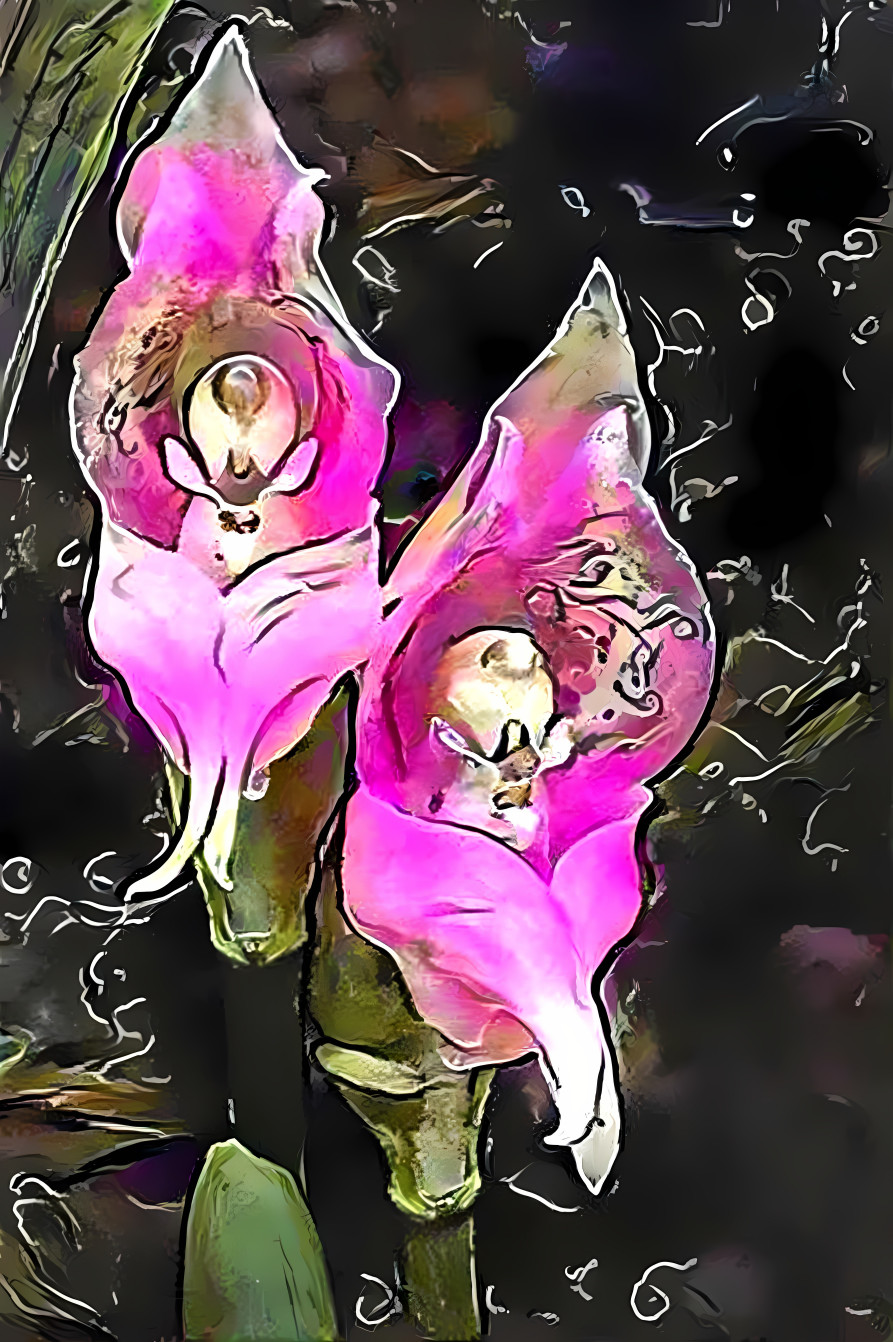 orchids, black, pink, painting