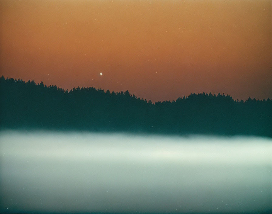 Silhouetted forest under twilight sky with bright star and misty layer