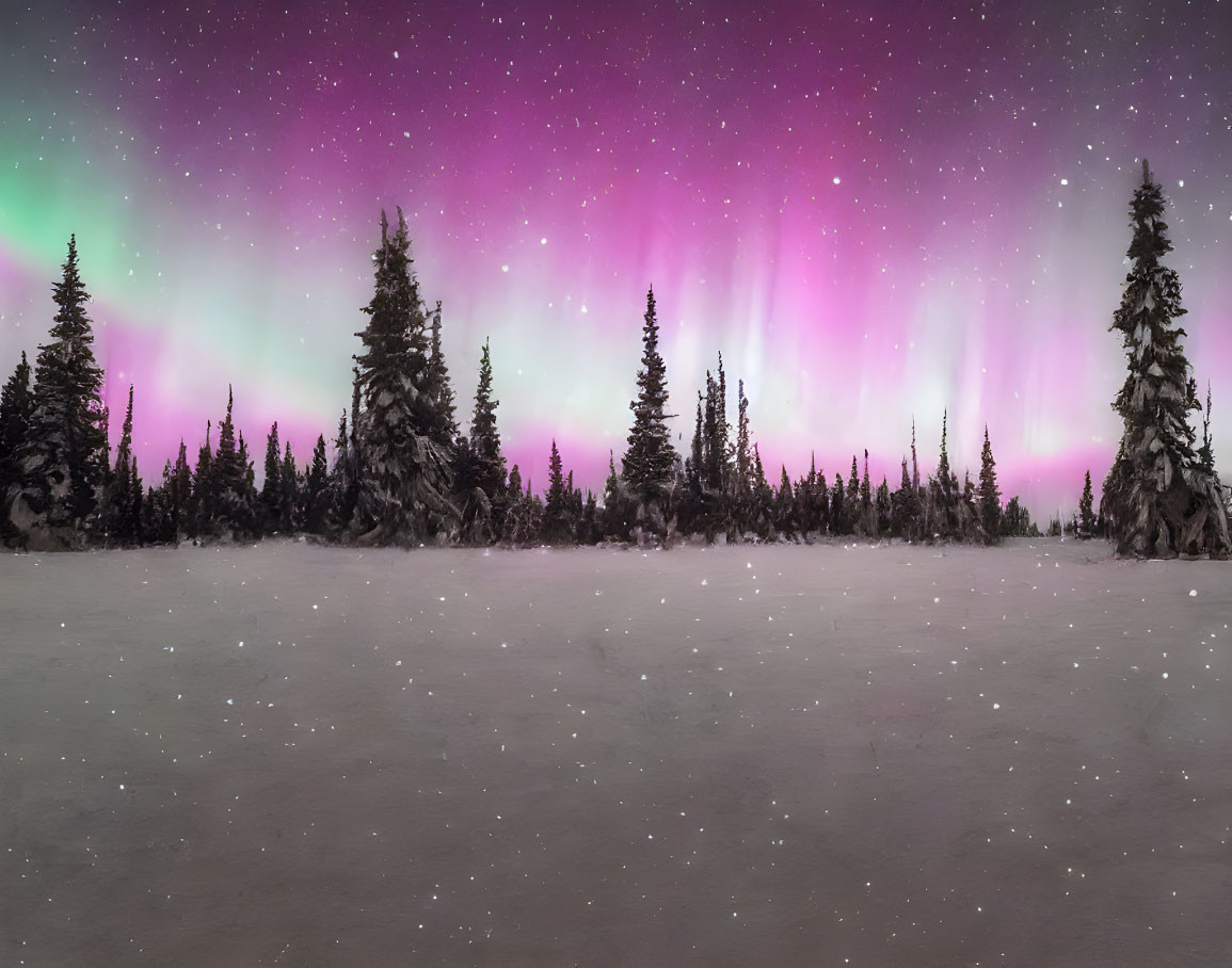 Snowy Dusk Landscape with Northern Lights and Silhouetted Pine Trees