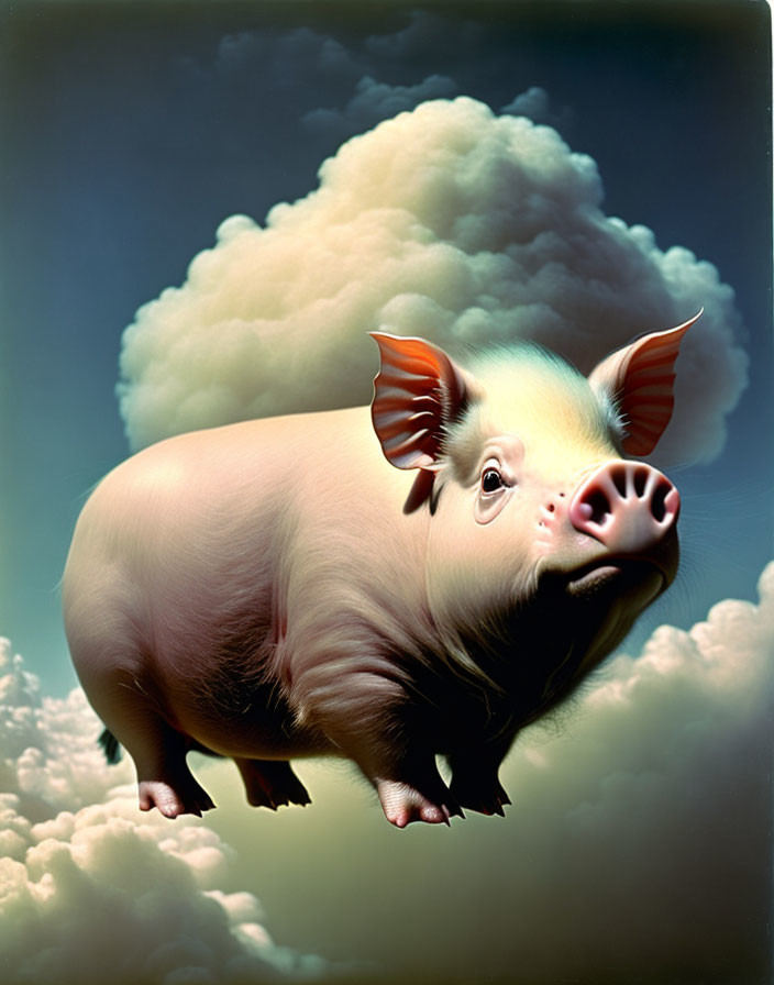 Flying pig with wings in fluffy cloud sky landscape