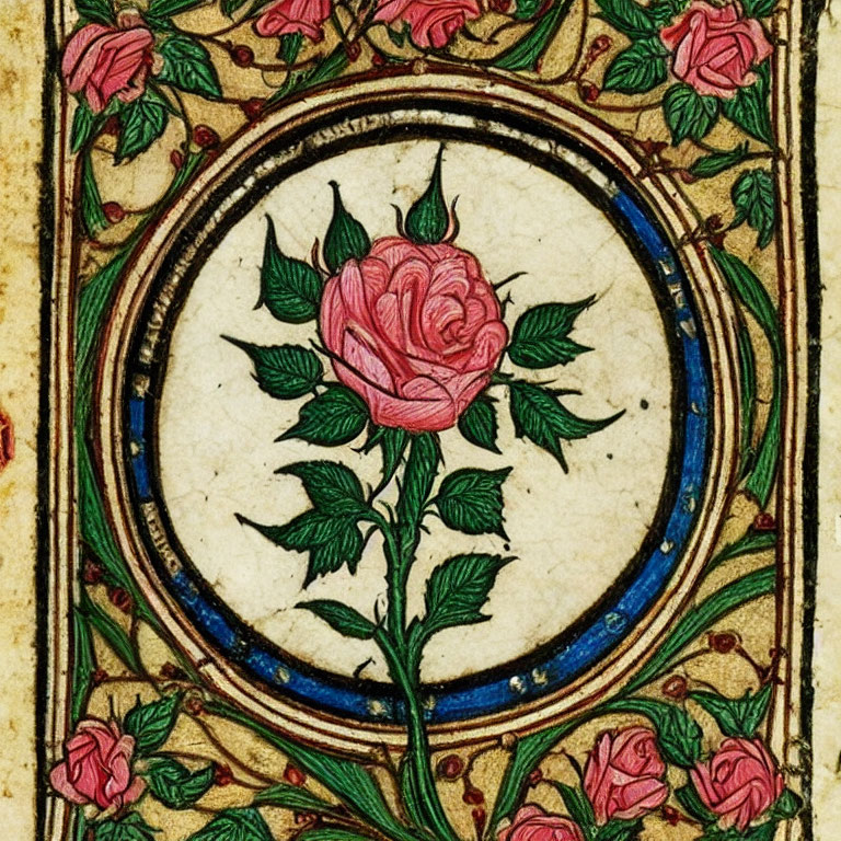 Detailed Illuminated Manuscript Page Featuring Pink Rose and Ornate Borders