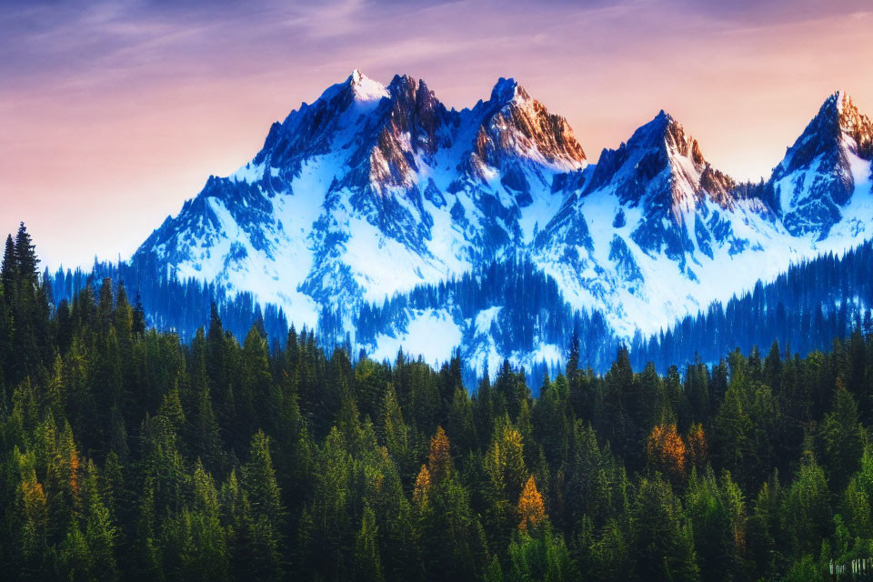 Snow-capped mountains behind pine forest under pink and blue sunset sky