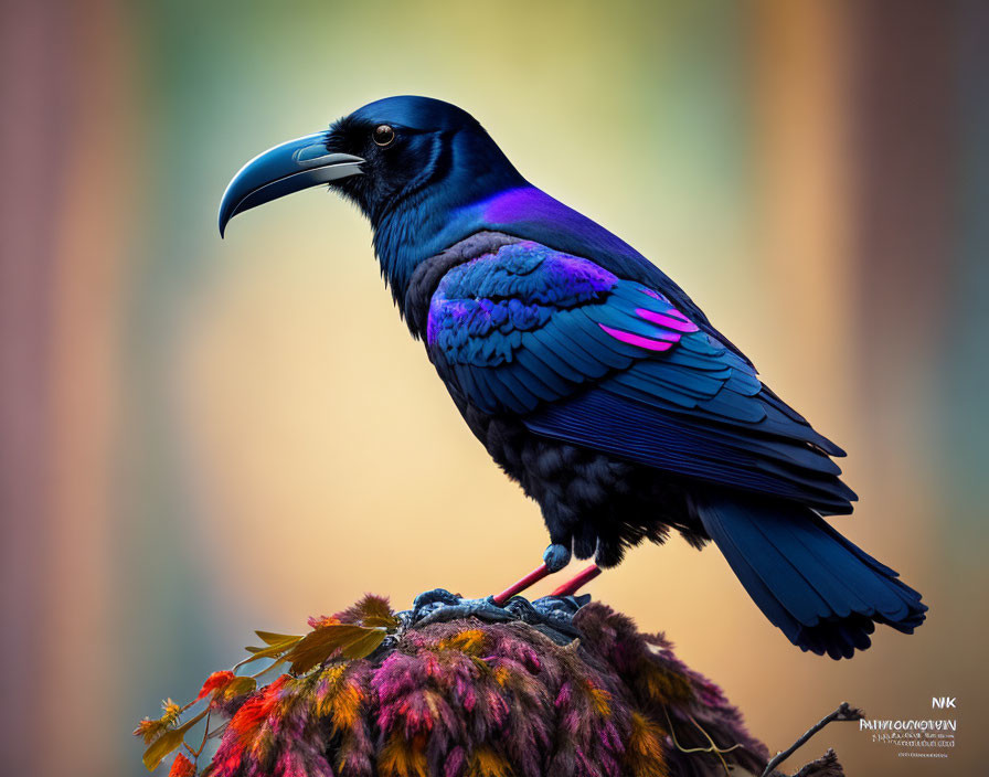 Colorful Crow with Iridescent Plumage on Vibrant Surface