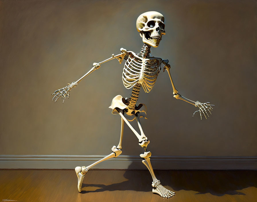 Human skeleton model sauntering with visible gait against plain wall