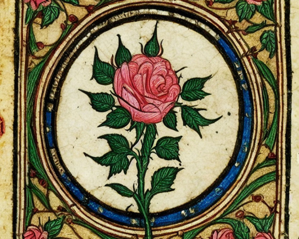 Detailed Illuminated Manuscript Page Featuring Pink Rose and Ornate Borders