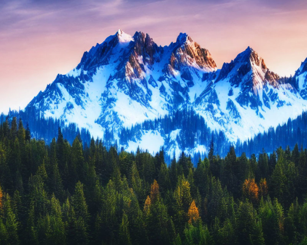 Snow-capped mountains behind pine forest under pink and blue sunset sky