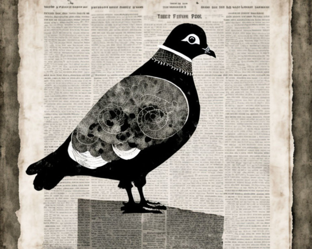 Pigeon illustration on vintage newspaper background with intricate circular patterns