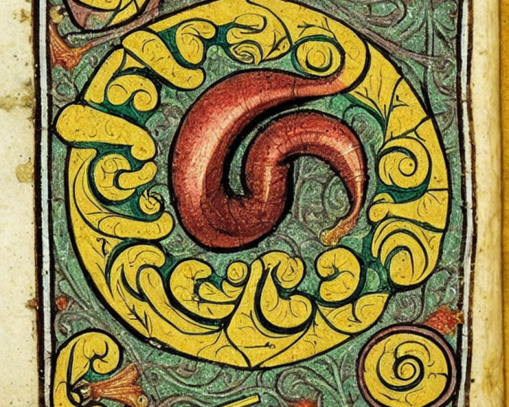 Detailed close-up of colorful medieval manuscript letter with gold, red, and green illumination