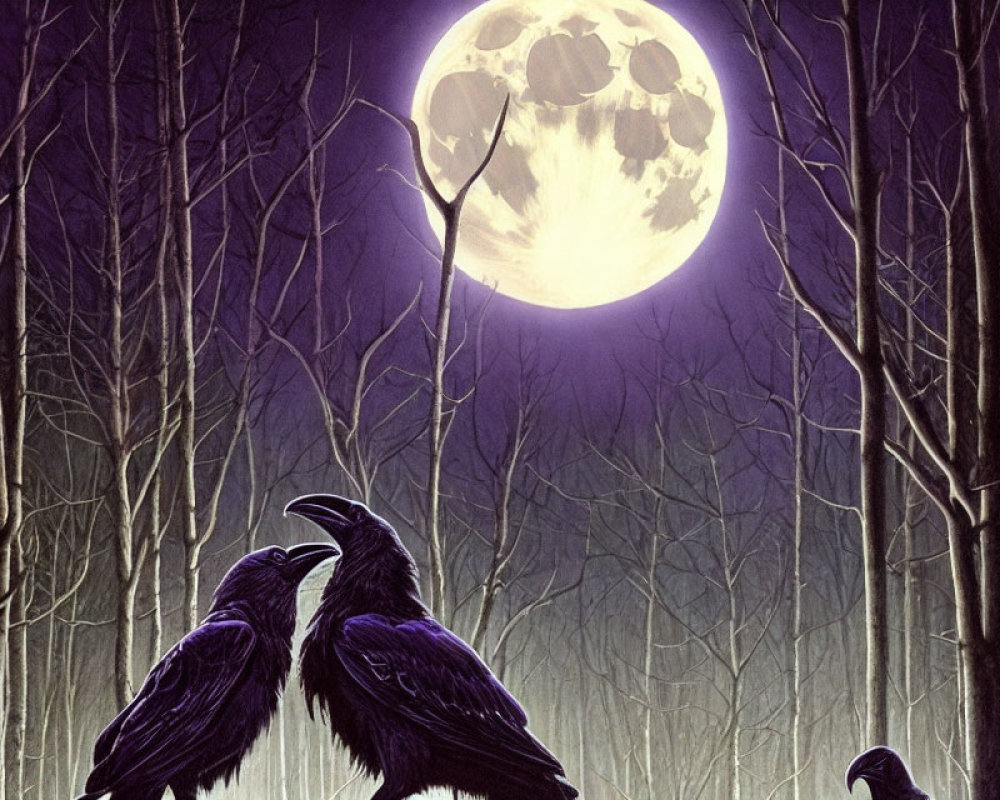 Moonlit forest scene with two ravens and full moon