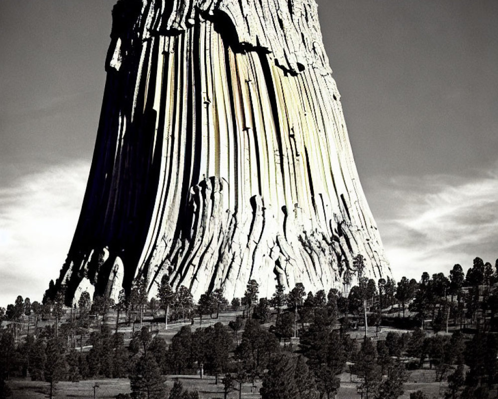 Monochrome image of Devil's Tower with vertical striations, trees, and light sky