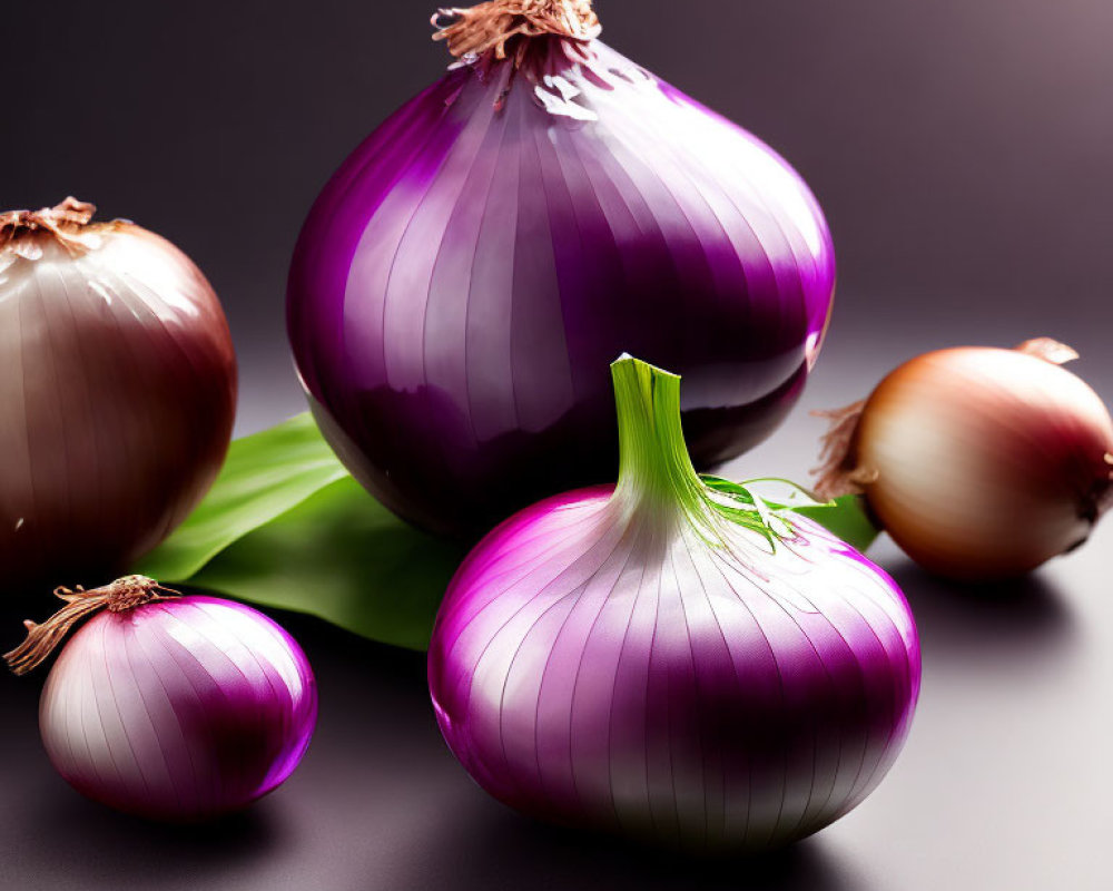 Purple and Red Onions with Green Leaf on Dark Background: Shiny Texture and Vibrant Colors