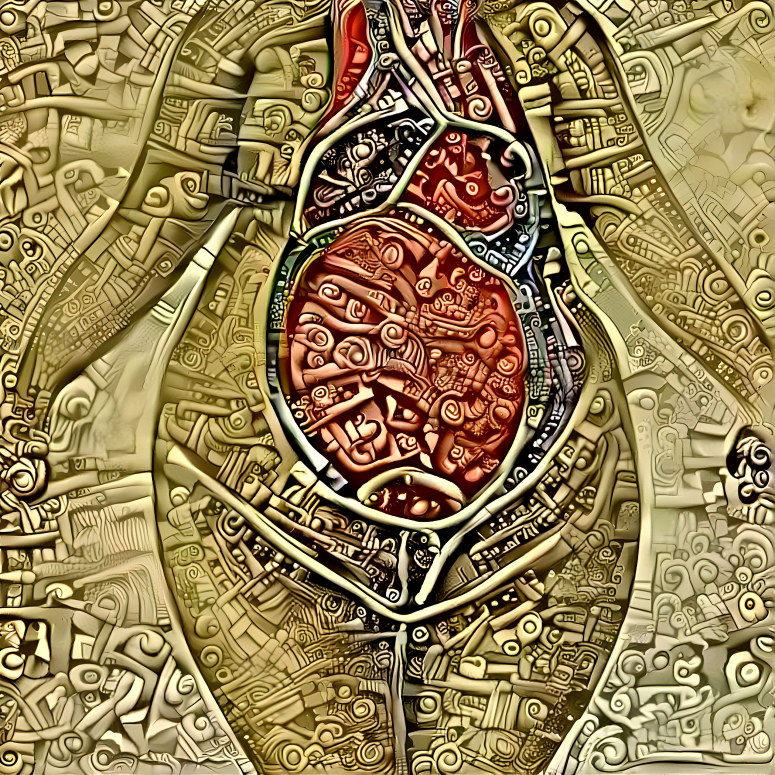 Anatomical