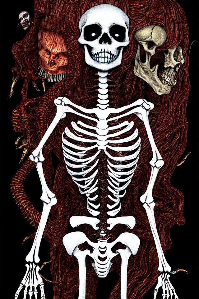 Stylized graphic featuring central skeleton and skulls on dark background