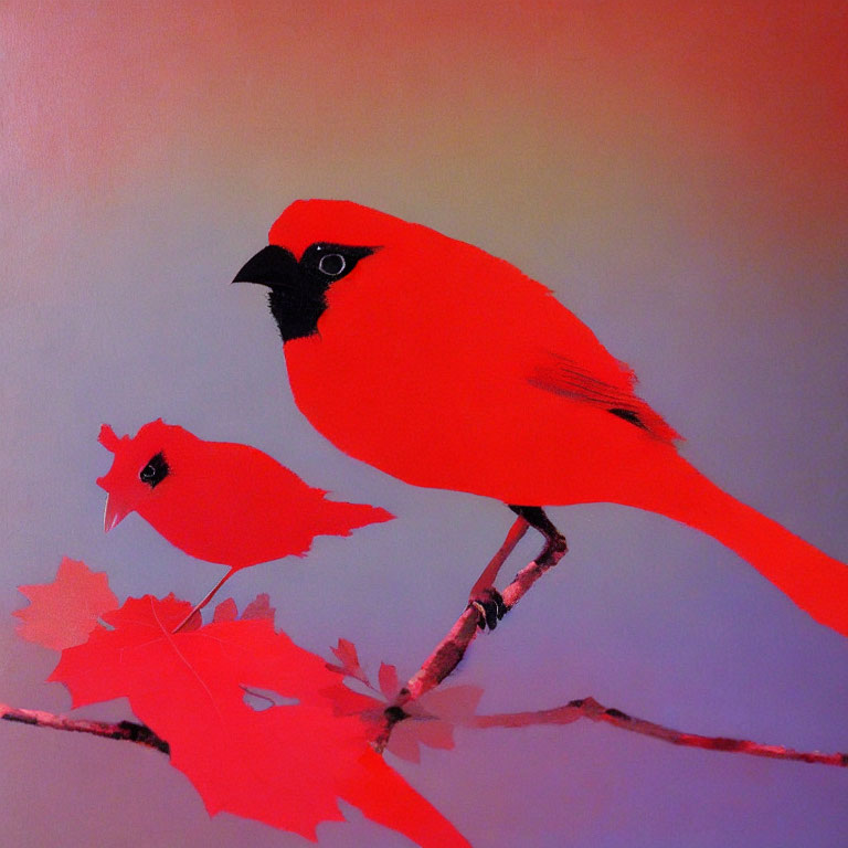 Vibrant red cardinals on branch with red leaves, pink to purple background