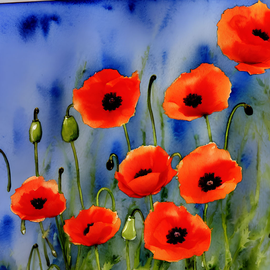 Colorful Red Poppies on Blue Watercolor Background with Green Stems