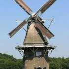 Traditional Windmill in Green Landscape with Pink Flowers under Blue Sky