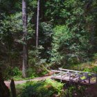 Lush greenery, cascading waterfall, wooden bridge in mystical forest