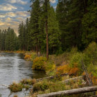 Tranquil autumn forest with river under setting sun