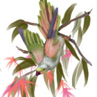Colorful Birds on a Leafy Branch with Vibrant Patterns