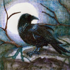 Majestic raven on mossy branch in misty forest under full moon