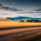 Rural landscape with golden wheat field, barns, trees, and hills