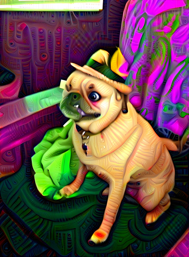 Edgar, the pug