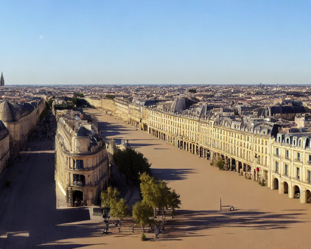 Historic European City Street with Uniform Buildings and Tree-Lined Avenues