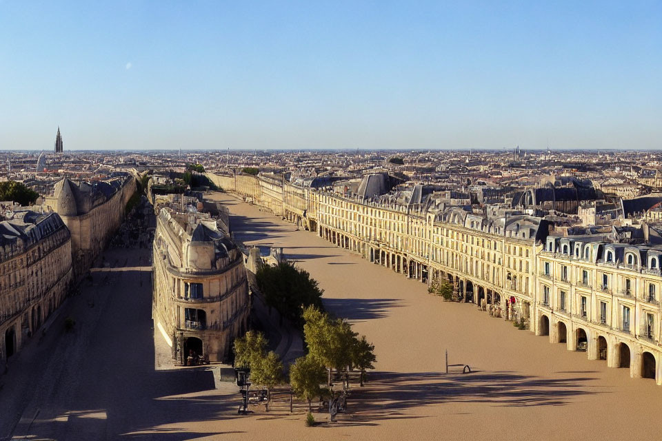 Historic European City Street with Uniform Buildings and Tree-Lined Avenues