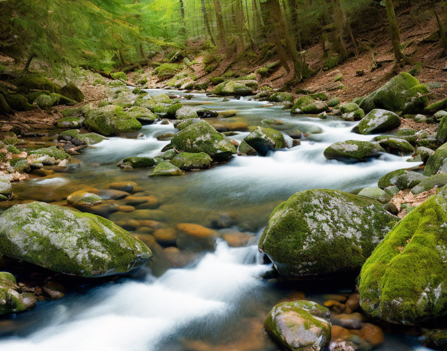 Tranquil forest stream with moss-covered rocks and verdant trees