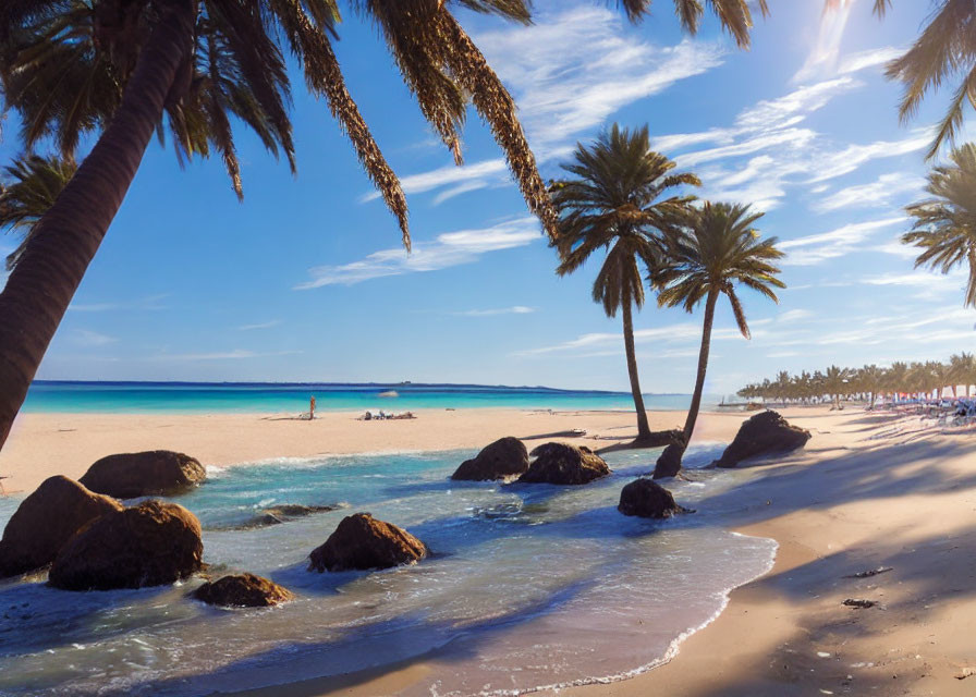 Scenic tropical beach with palm trees, rocks, and clear blue skies