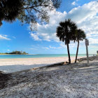 White Sand Tropical Beach with Palm Trees and People by the Water