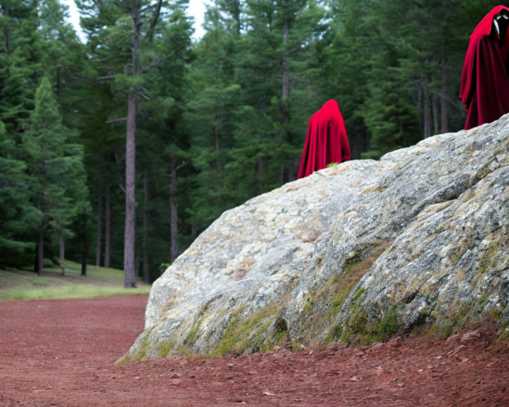 Red-cloaked figures on forest path with large rock