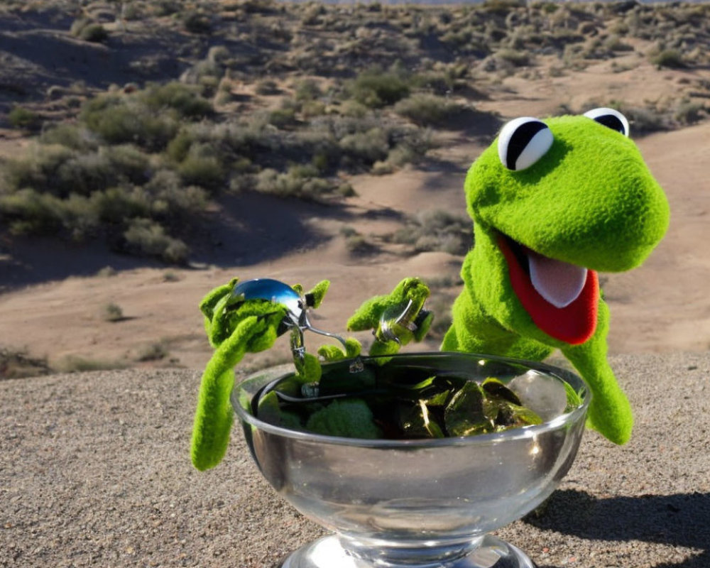 Kermit the Frog plush toy bathing in desert setting