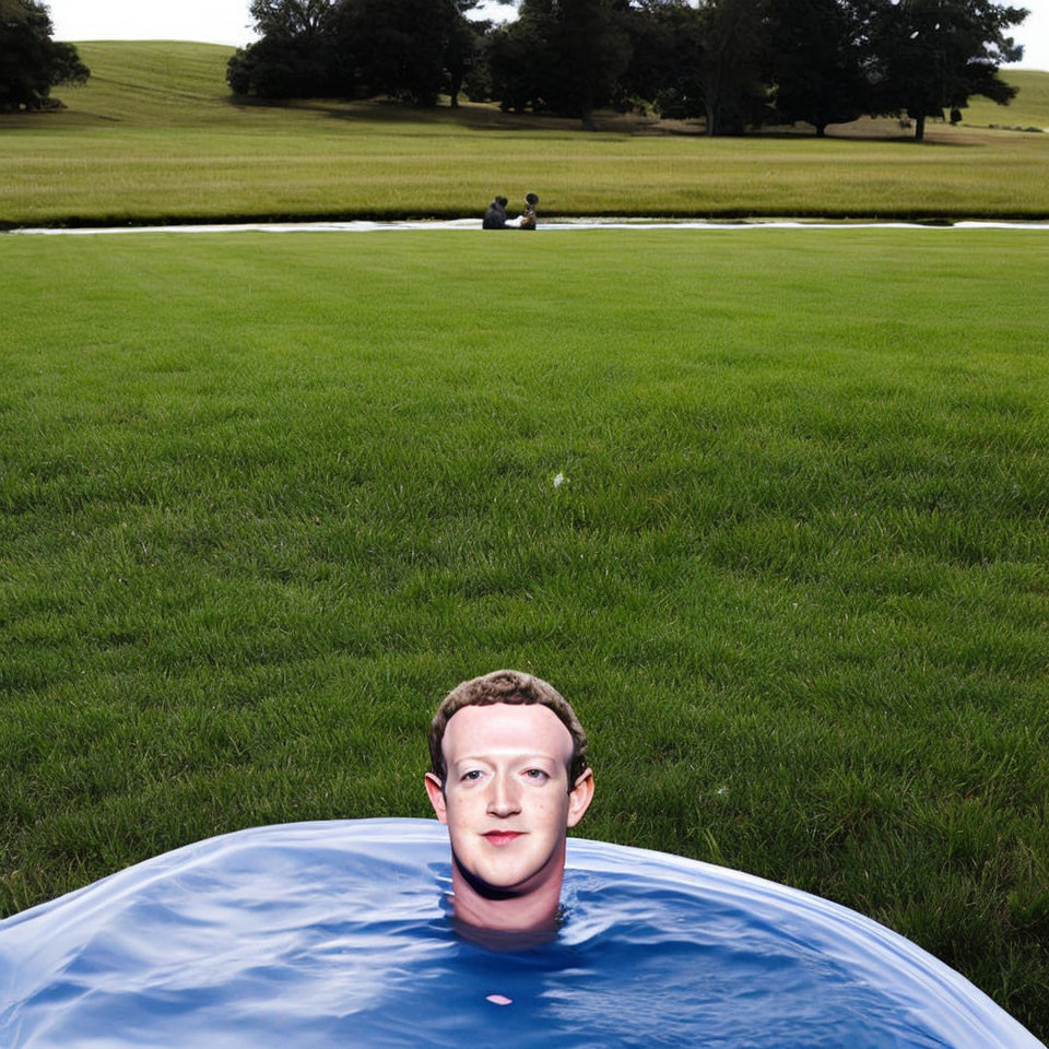 Digitally altered image of man's face in water with grassy landscape & people.