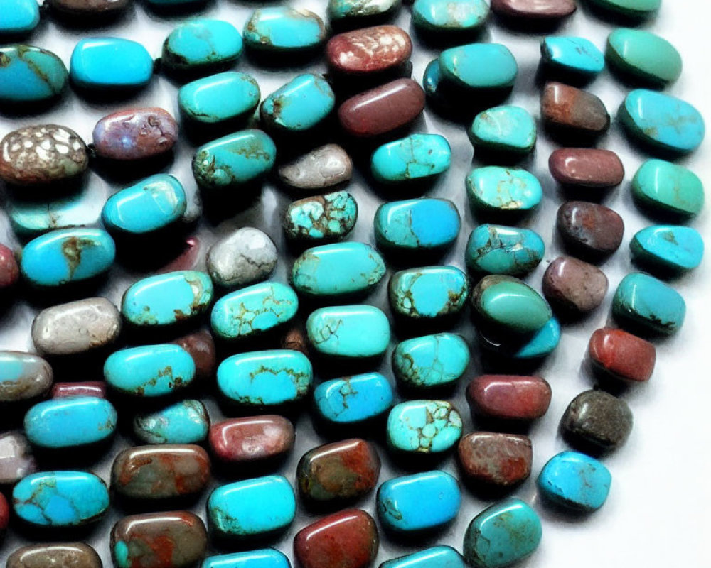 Assorted Turquoise Stones in Blue and Green Shades on White Surface