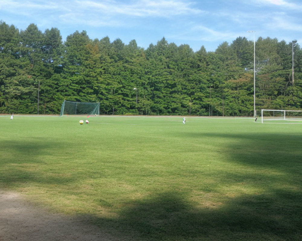 Tranquil Soccer Field with Trees and Goalposts