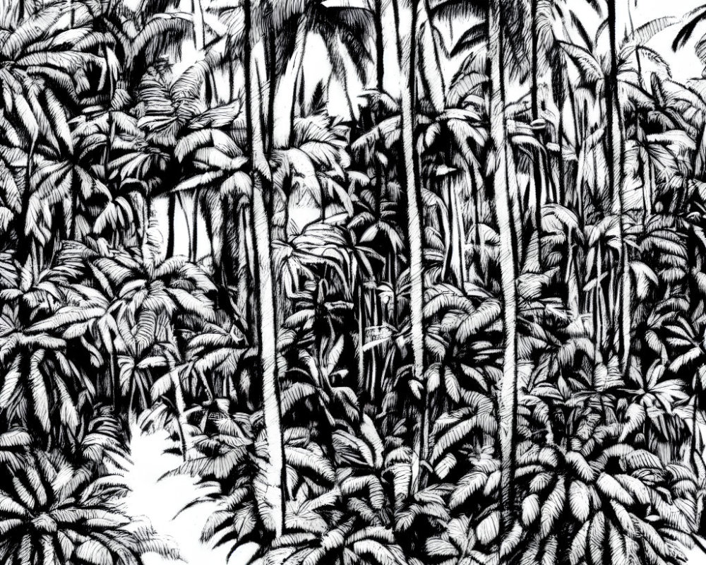 Detailed Black and White Ink Drawing of Dense Jungle