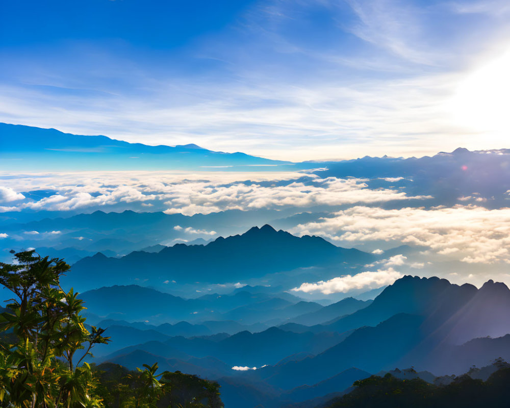 Majestic mountain vista with rugged peaks, sea of clouds, green foliage, and blue sky.