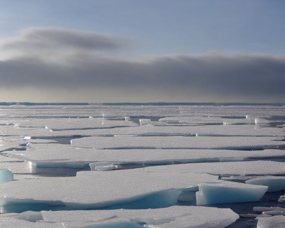 Ice sheets floating on calm sea under cloudy sky with blurred horizon