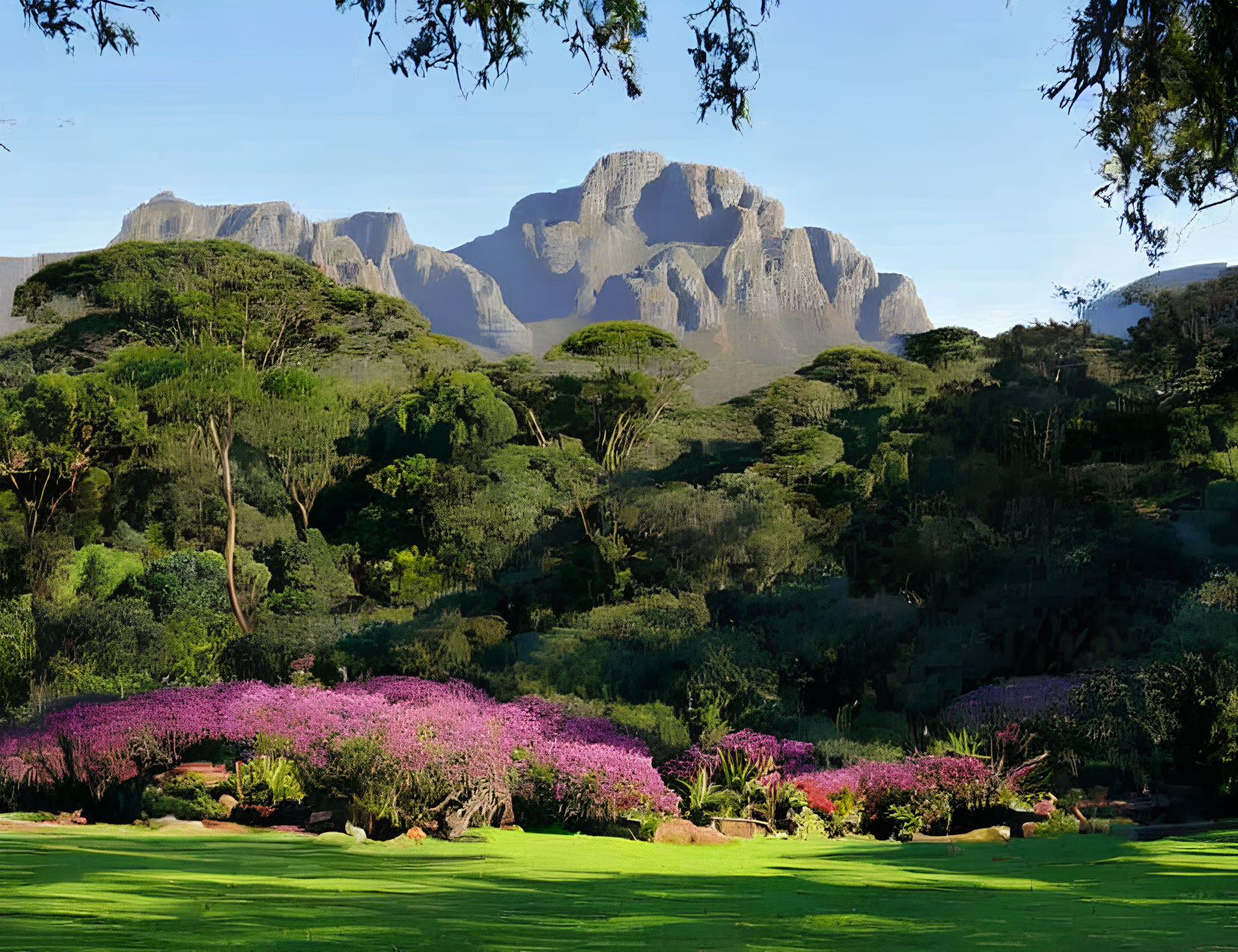 Scenic garden with purple flowers and mountain view