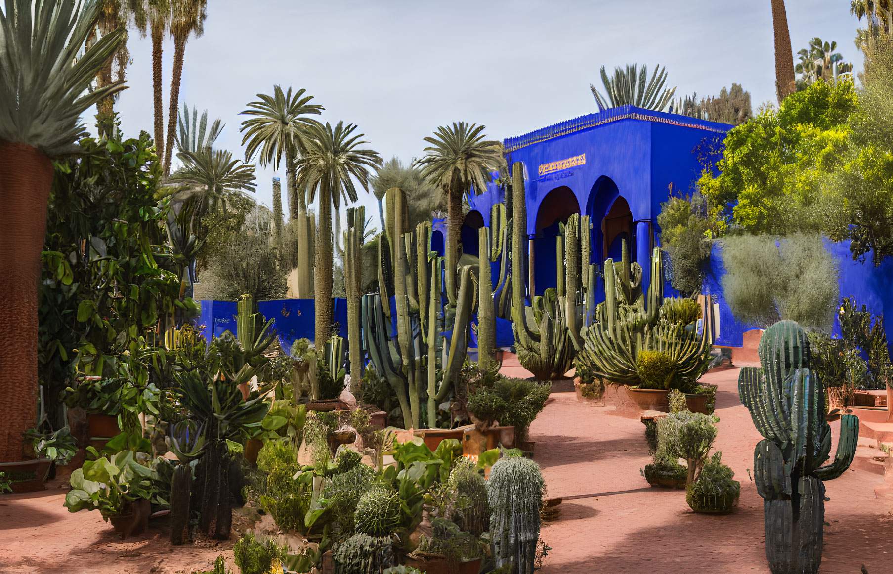 Lush Garden with Cacti, Palms, Green Plants, and Blue Building