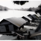 Tranquil Japanese village by blossoming lake