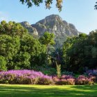 Scenic garden with purple flowers and mountain view