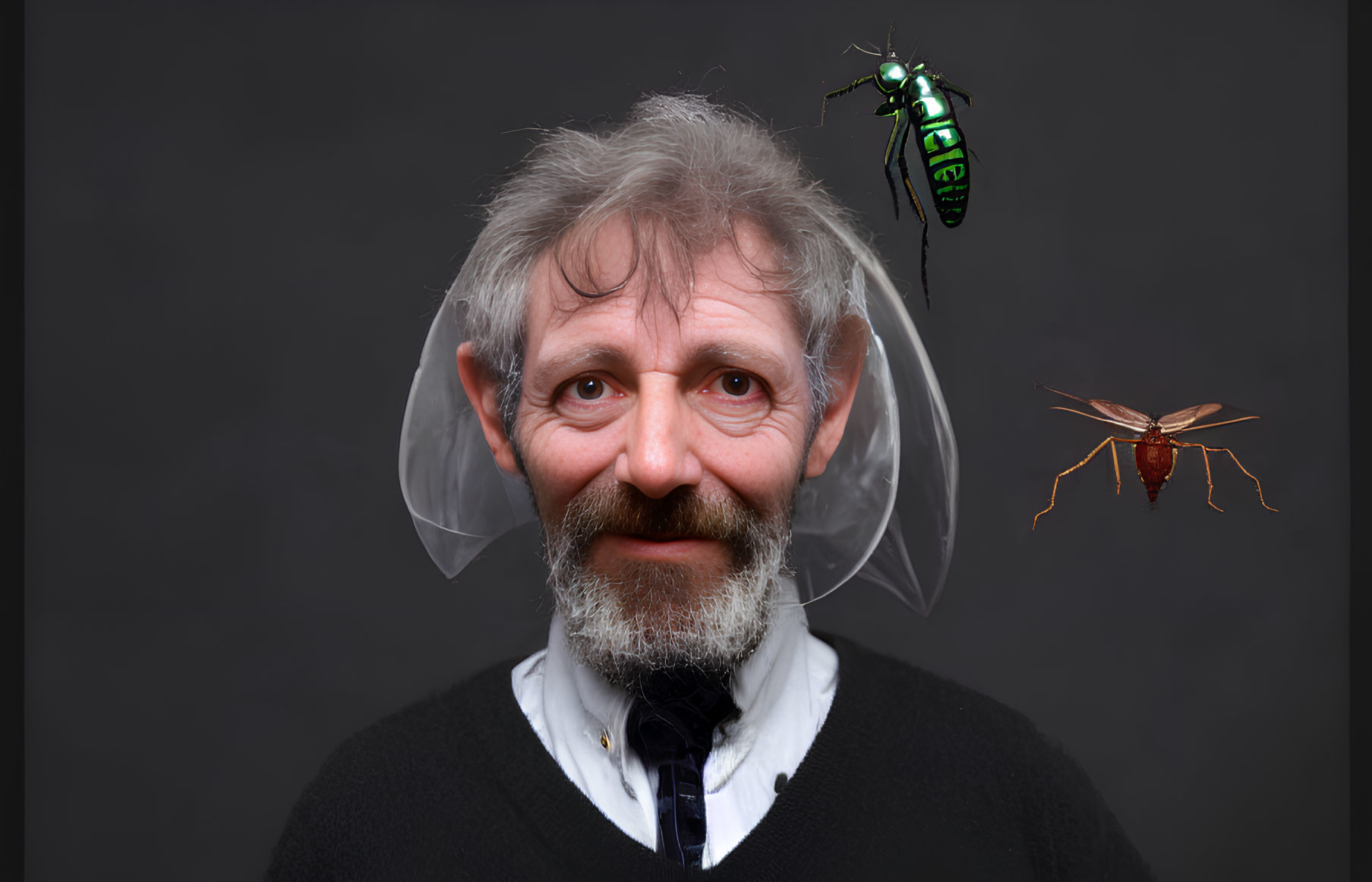 Elder man with beard and whimsical wings, mechanical and natural bees on grey background