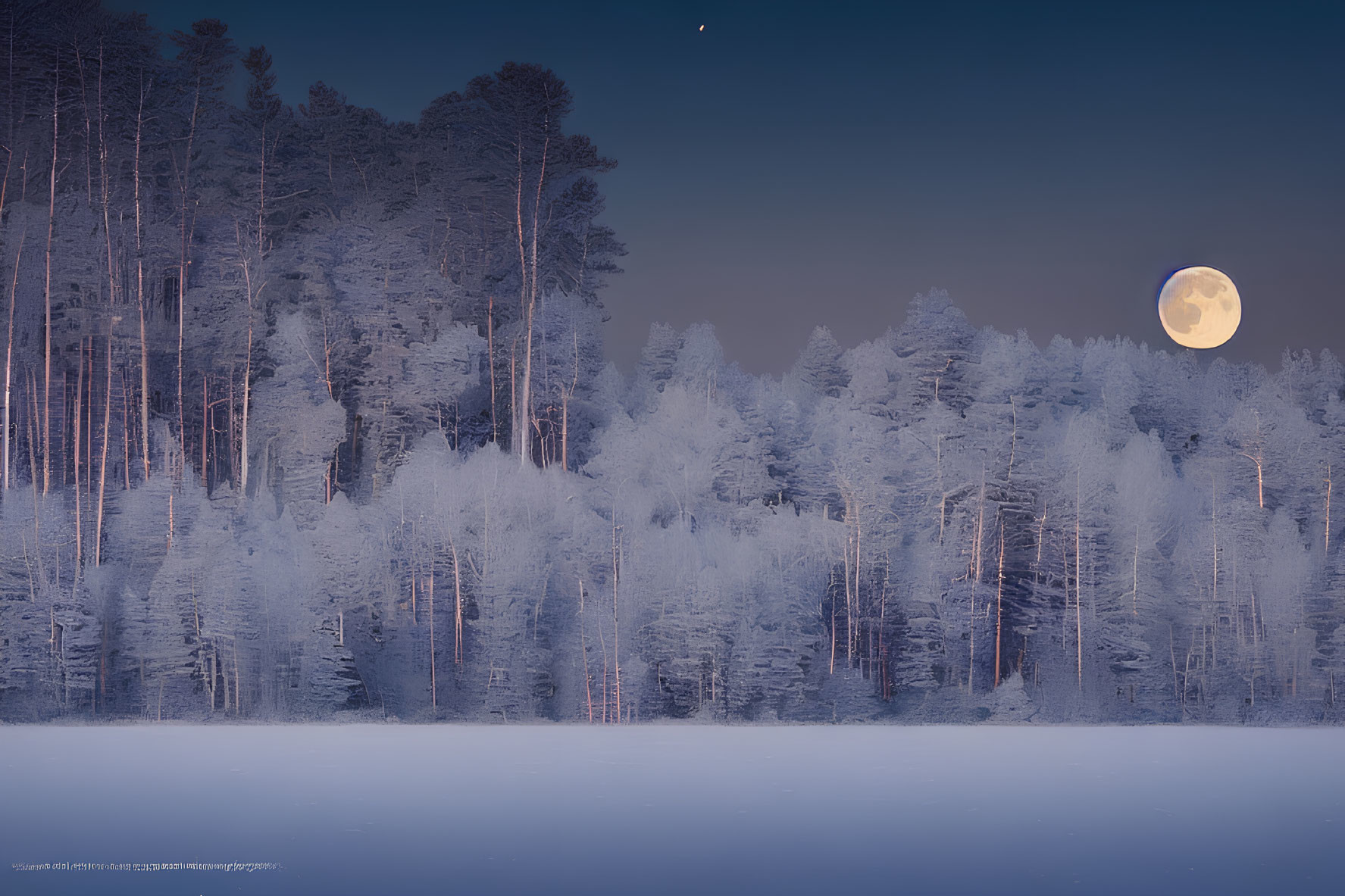 Snowy Winter Landscape with Full Moon and Frost-Covered Trees