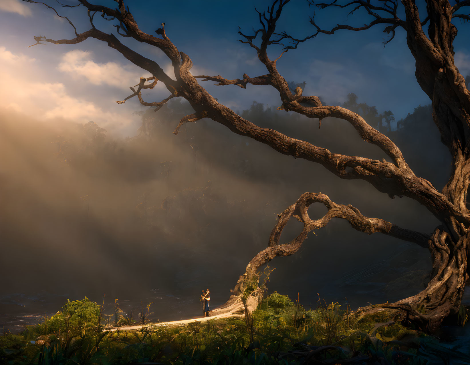 Person standing under large twisted tree with illuminated hole in misty forest landscape