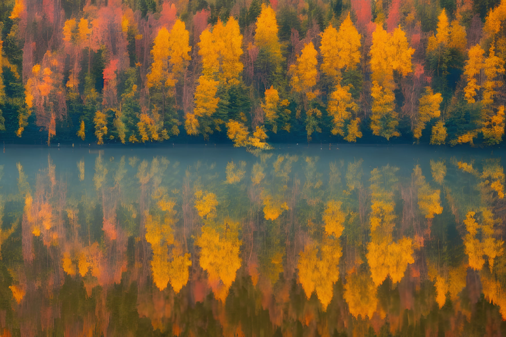 Scenic autumn trees with orange and yellow leaves by tranquil lake